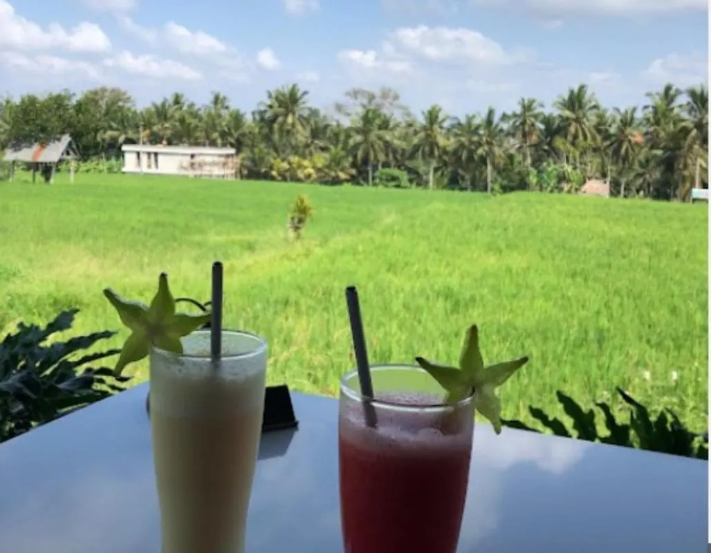 Moon Gang Hotel Ubud